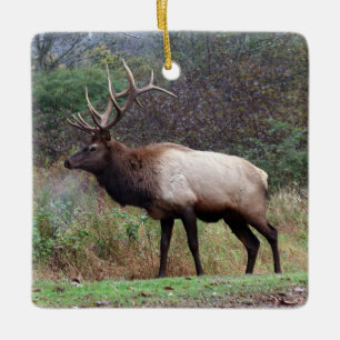 Bull-Ornament Keramikornament