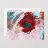 BULL POSTKARTE (Vorne/Hinten)