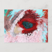 BULL POSTKARTE (Vorderseite)