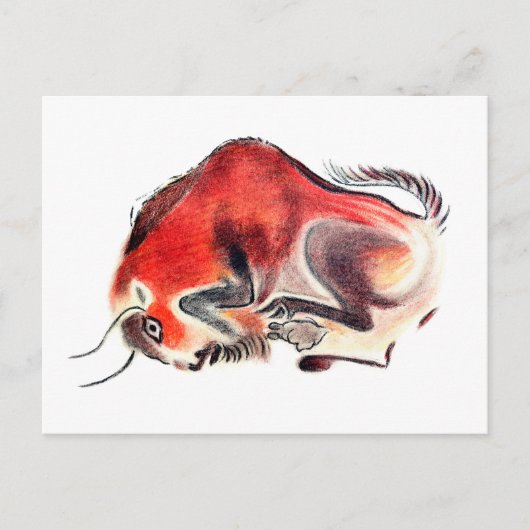 Bull Postkarte (Vorderseite)