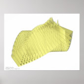 Bull - Programmatischer Ausdruck Poster (Vorne)