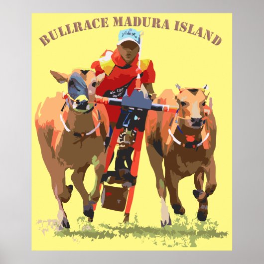 Bull Race Poster (Vorne)