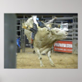 Bull Riding Action Poster (Vorne)