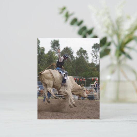 BULL RIDING BERT POSTKARTE (Stehend Vorderseite)