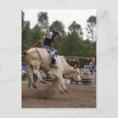 BULL RIDING BERT POSTKARTE (Vorderseite)