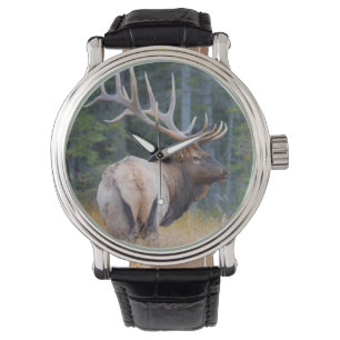 Bull Rocky Mountain Elk Armbanduhr