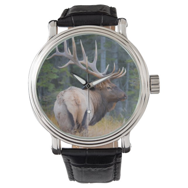 Bull Rocky Mountain Elk Armbanduhr (Vorderseite)