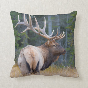 Bull Rocky Mountain Elk Kissen