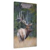 Bull Rocky Mountain Elk Klemmbrett (Rechts)