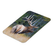 Bull Rocky Mountain Elk Magnet (Linke Seite)