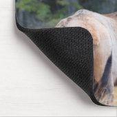 Bull Rocky Mountain Elk Mousepad (Ecke)