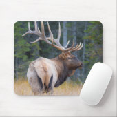 Bull Rocky Mountain Elk Mousepad (Mit Mouse)