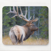 Bull Rocky Mountain Elk Mousepad (Vorne)
