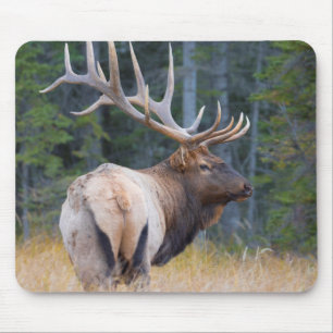 Bull Rocky Mountain Elk Mousepad