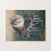 Bull Rocky Mountain Elk Puzzle (Horizontal)