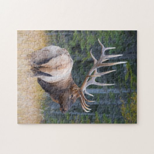 Bull Rocky Mountain Elk Puzzle (Horizontal)