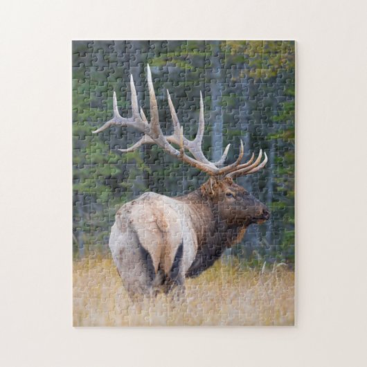 Bull Rocky Mountain Elk Puzzle (Vertikal)