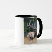 Bull Rocky Mountain Elk Tasse (VorderseiteRechts)