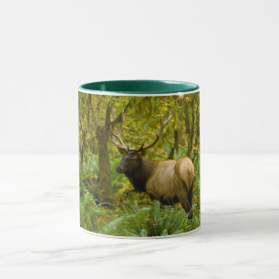 Bull Roosevelt-Elch Tasse