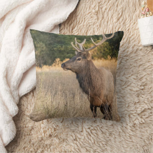 Bull Roosevelt Elk im Gras Washingtoner Staat Kissen