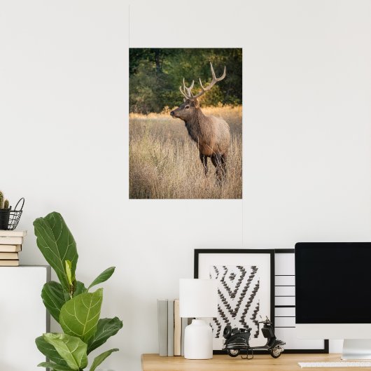 Bull Roosevelt Elk in grass | Washington State Poster (Heimbüro)