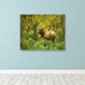 Bull Roosevelt Elk Leinwanddruck (Insitu (Holzboden))