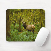 Bull Roosevelt Elk Mousepad (Mit Mouse)