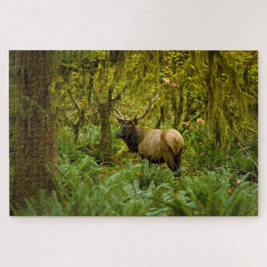 Bull Roosevelt Elk Puzzle (Horizontal)