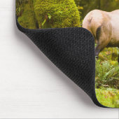 Bull Roosevelt Elk Stehend auf Wiese Mousepad (Ecke)