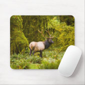 Bull Roosevelt Elk Stehend auf Wiese Mousepad (Mit Mouse)