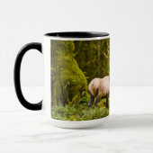Bull Roosevelt Elk Stehend auf Wiese Tasse (Links)