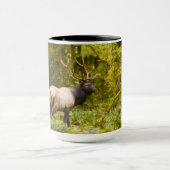 Bull Roosevelt Elk Stehend auf Wiese Tasse (Zentrum)