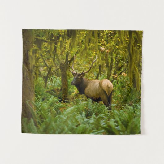 Bull Roosevelt Elk Wandteppich (Vorderseite (Horizontal))