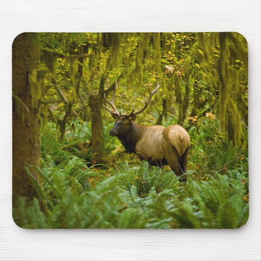 Bull-Rothirsch Mousepad (Vorne)