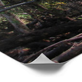 Bull Run Trail Poster (Ecke)