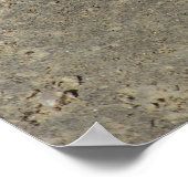 Bull-Schlange mit Kamera abgedreht Poster (Ecke)