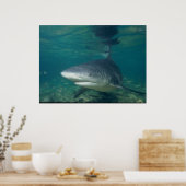 Bull Shark - Carcharhinus leucas Poster (Küche)