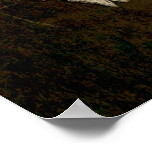 Bull Skull Western Country Braun Alte Rustikale Gr Poster (Ecke)