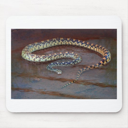 Bull Snake Mousepad (Vorne)