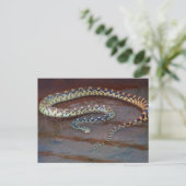 Bull Snake Postkarte (Stehend Vorderseite)