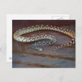 Bull Snake Postkarte (Vorne/Hinten)