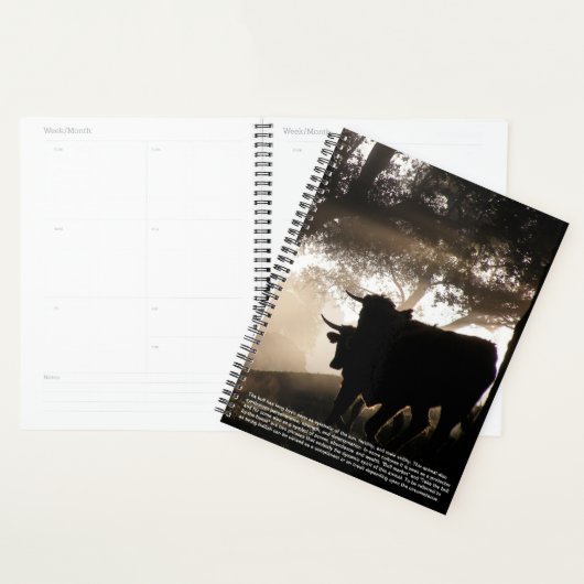 Bull-Symbolismus-Kalender Planer (Anzeige)
