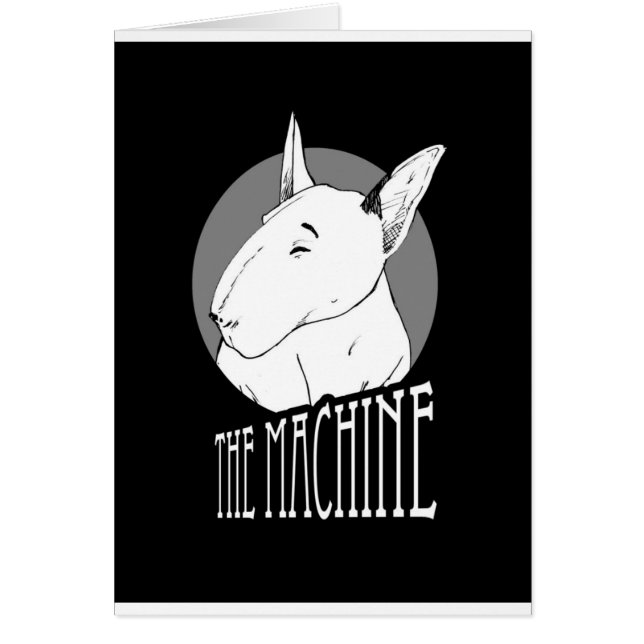 bull terrier (Vorne)