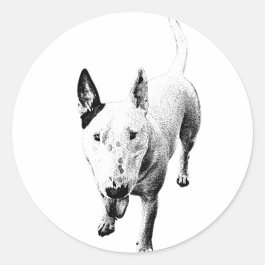 Bull Terrier Aufkleber – Grit Sticks (Vorderseite)