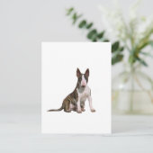 Bull Terrier (B) - Brindle und Weiß Postkarte (Stehend Vorderseite)