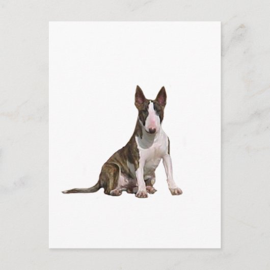Bull Terrier (B) - Brindle und Weiß Postkarte (Vorderseite)