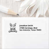 BULL TERRIER | Bild auf Rücksendeadresse (Insitu)