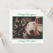 Bull Terrier Christmas Tree Lächeln Karte (Vorderseite/Rückseite Beispiel)