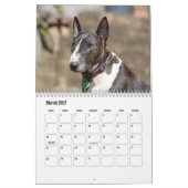 Bull Terrier Dog Calendar Kalender (Mär 2027)