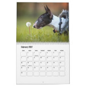 Bull Terrier Dog Calendar Kalender (Feb 2027)
